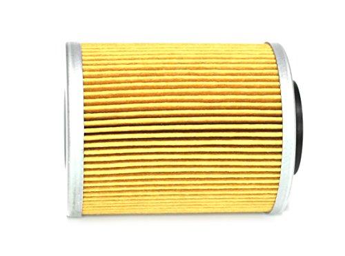 Can Am Oil Filter ACE Motor 900  420956123
