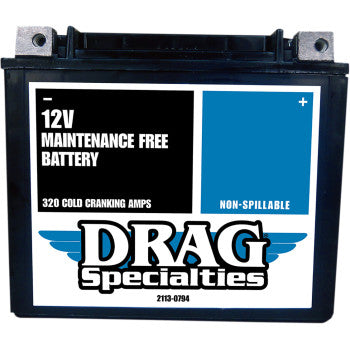 2113-0794 Factory-Activated High-Performance AGM Maintenance-Free Battery