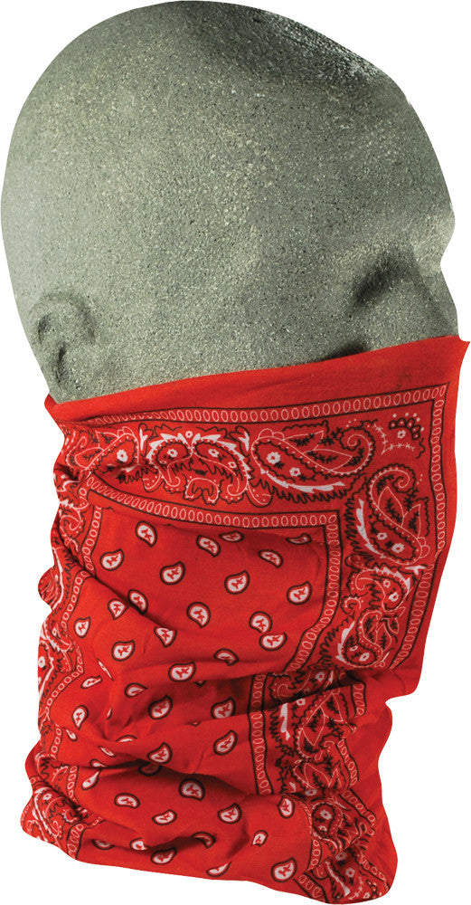 MOTLEY TUBE RED PAISLEY.